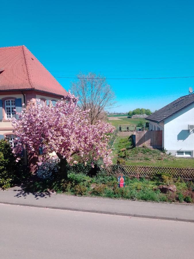 Gaestehaus Brunhilde Wittenweier Экстерьер фото